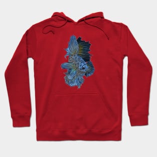 blue sea ornamental fish Hoodie